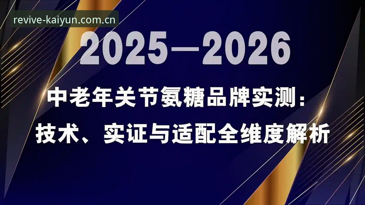 4个关键体验维度：中文官方主页2026版本对比全解析